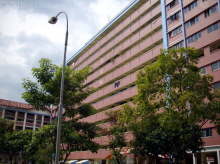 jurong-west-avenue-5 photo thumbnail #7